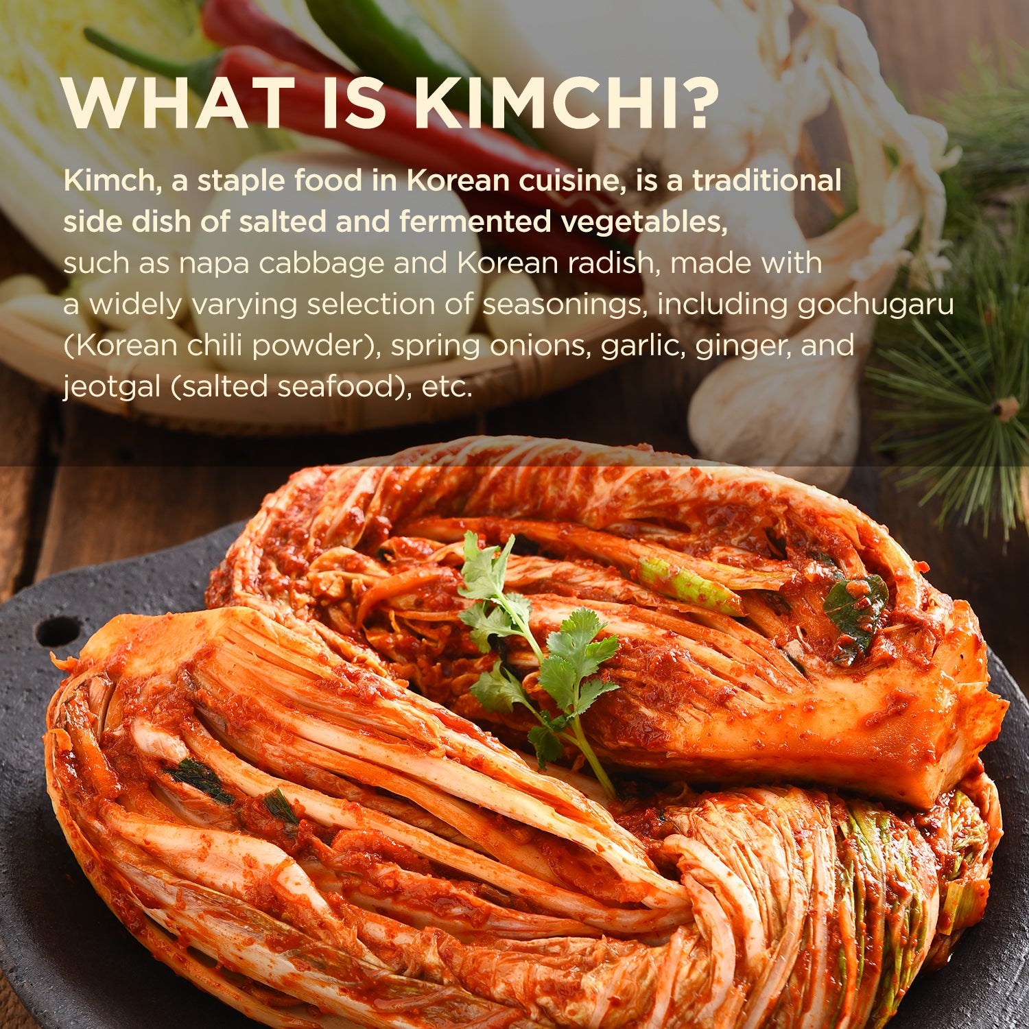 BEYONDEARTH Korean Canned Kimchi, Napa Cabbage Kimchi, Naturally Fermented 3 Pacl
